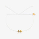 Alpha Phi Collection