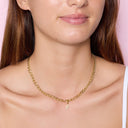 Delta Gamma Collection