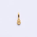 Alpha Phi Collection