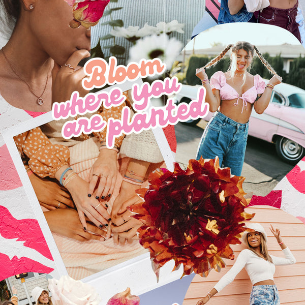 PV Spring Mood Boards