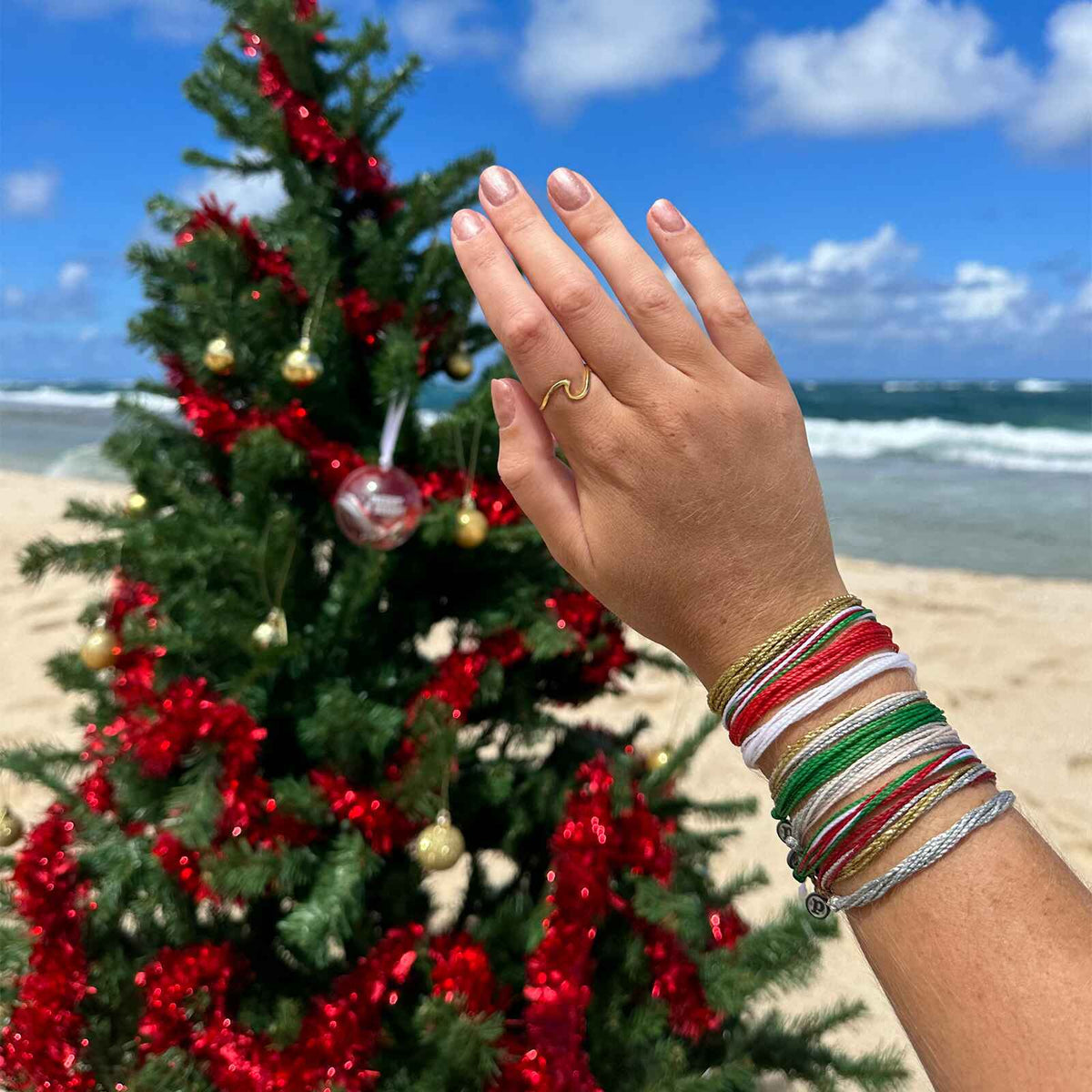Holiday Friendship 10 Pack