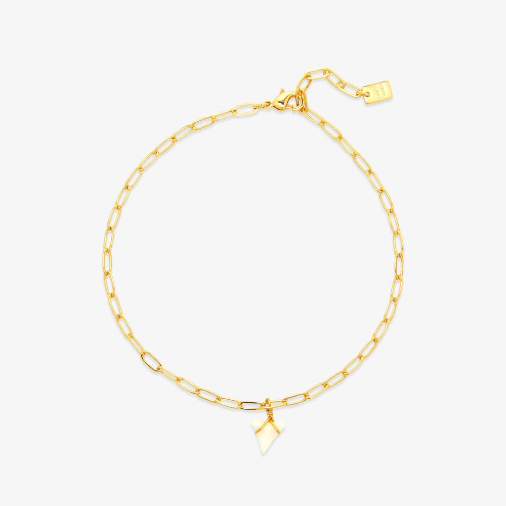 White Shark Tooth Chain Anklet 1