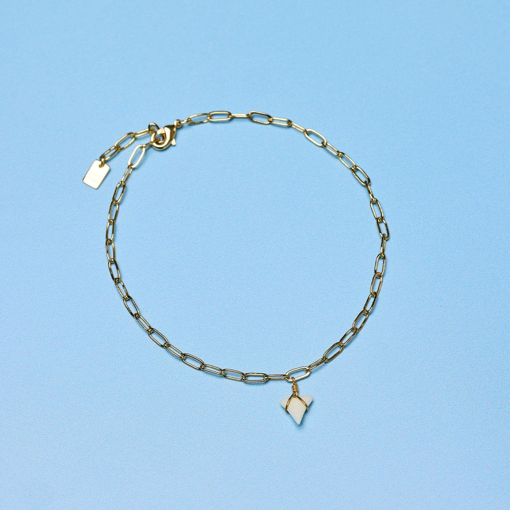 White Shark Tooth Chain Anklet 9