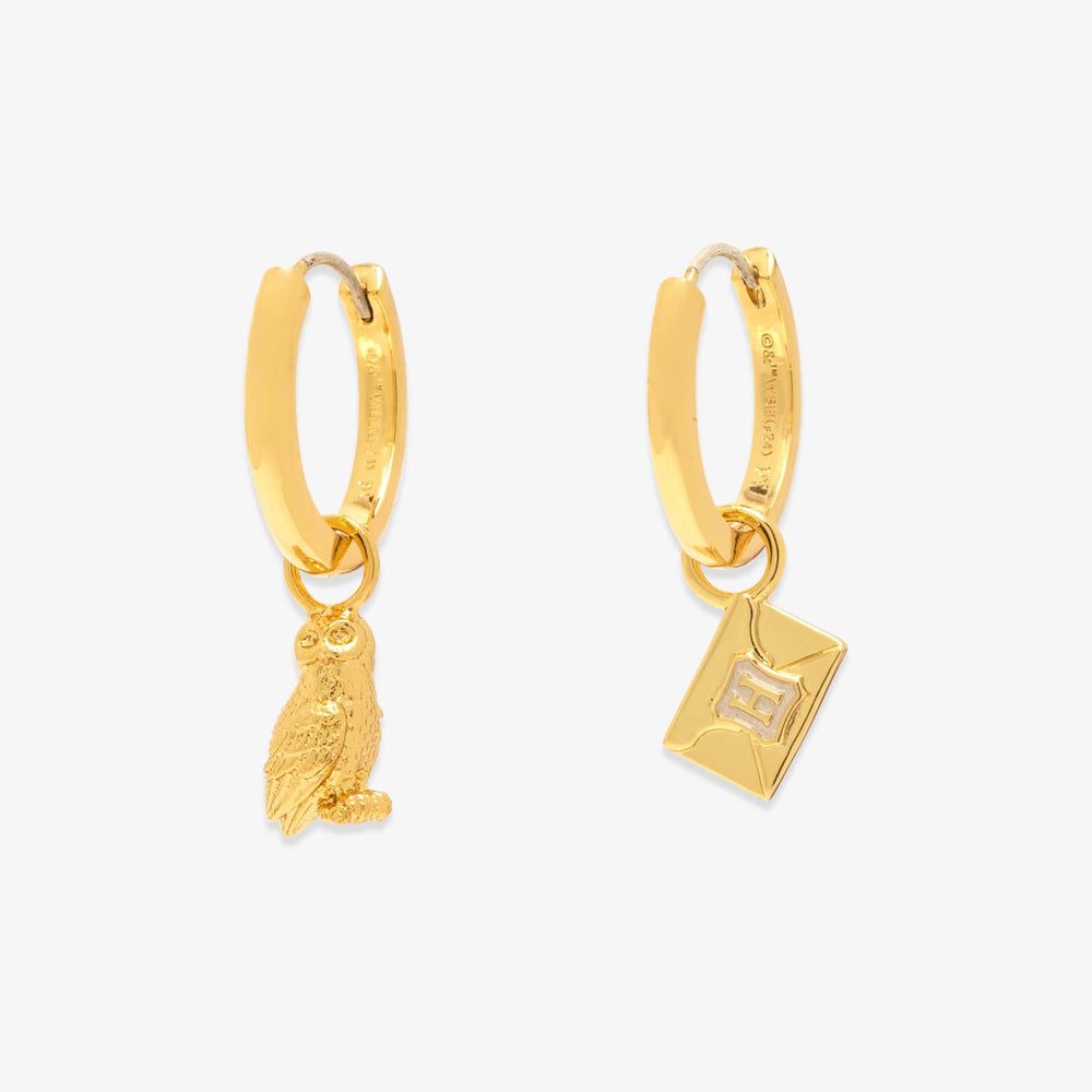 Hedwig™ Letter Hoop Earrings 3