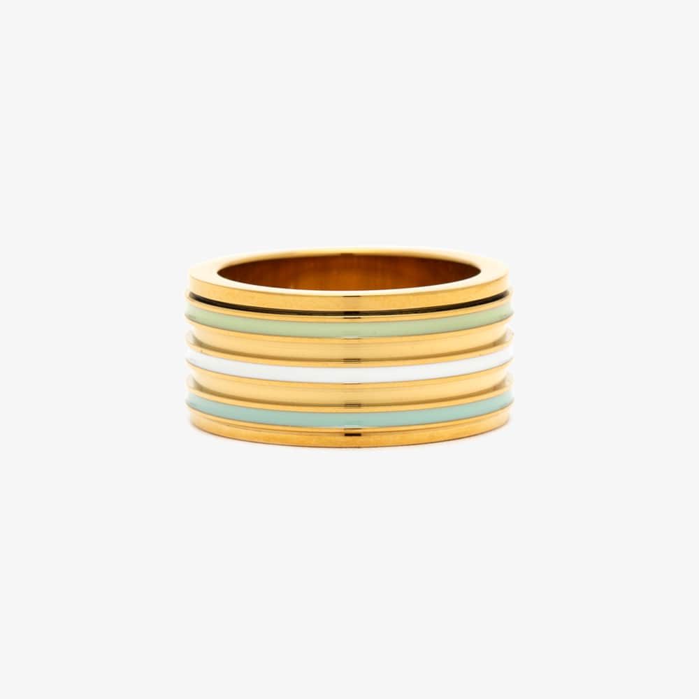 Wide Enamel Stripe Fidget Ring 1