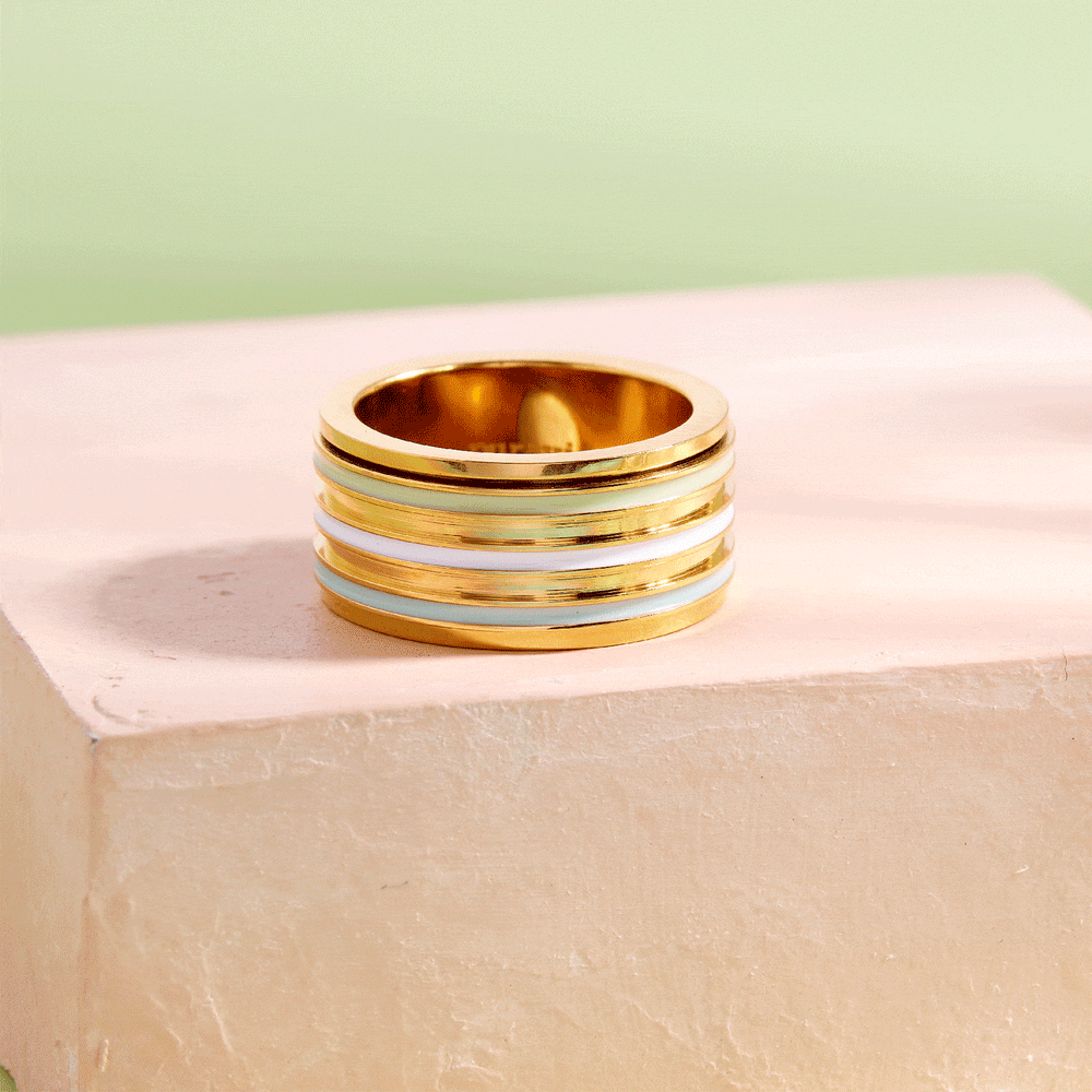 Wide Enamel Stripe Fidget Ring 4