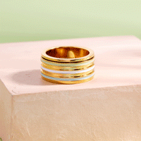 Wide Enamel Stripe Fidget Ring Gallery Thumbnail