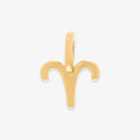 Harper Zodiac Charm
