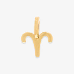Harper Zodiac Charm