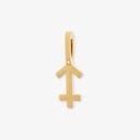 Harper Zodiac Charm