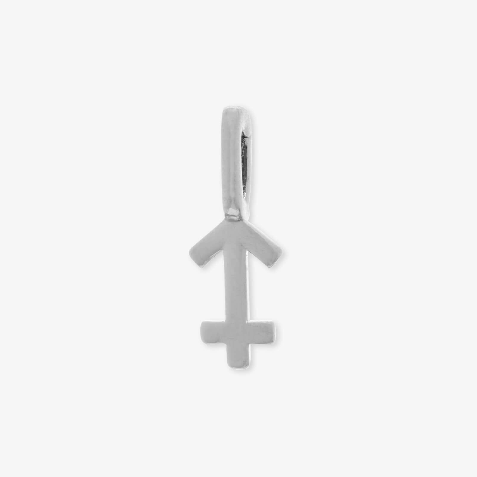 Harper Zodiac Charm