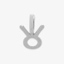 Harper Zodiac Charm