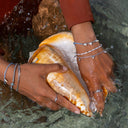 Stone Shark Tooth Style Pack