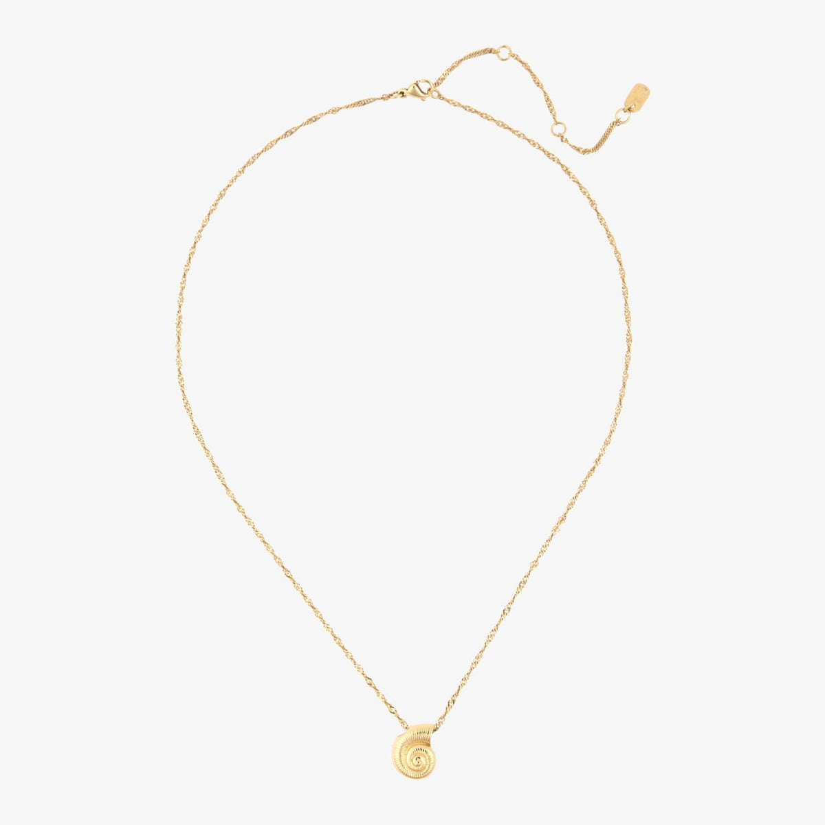 Seashell Pendant Necklace