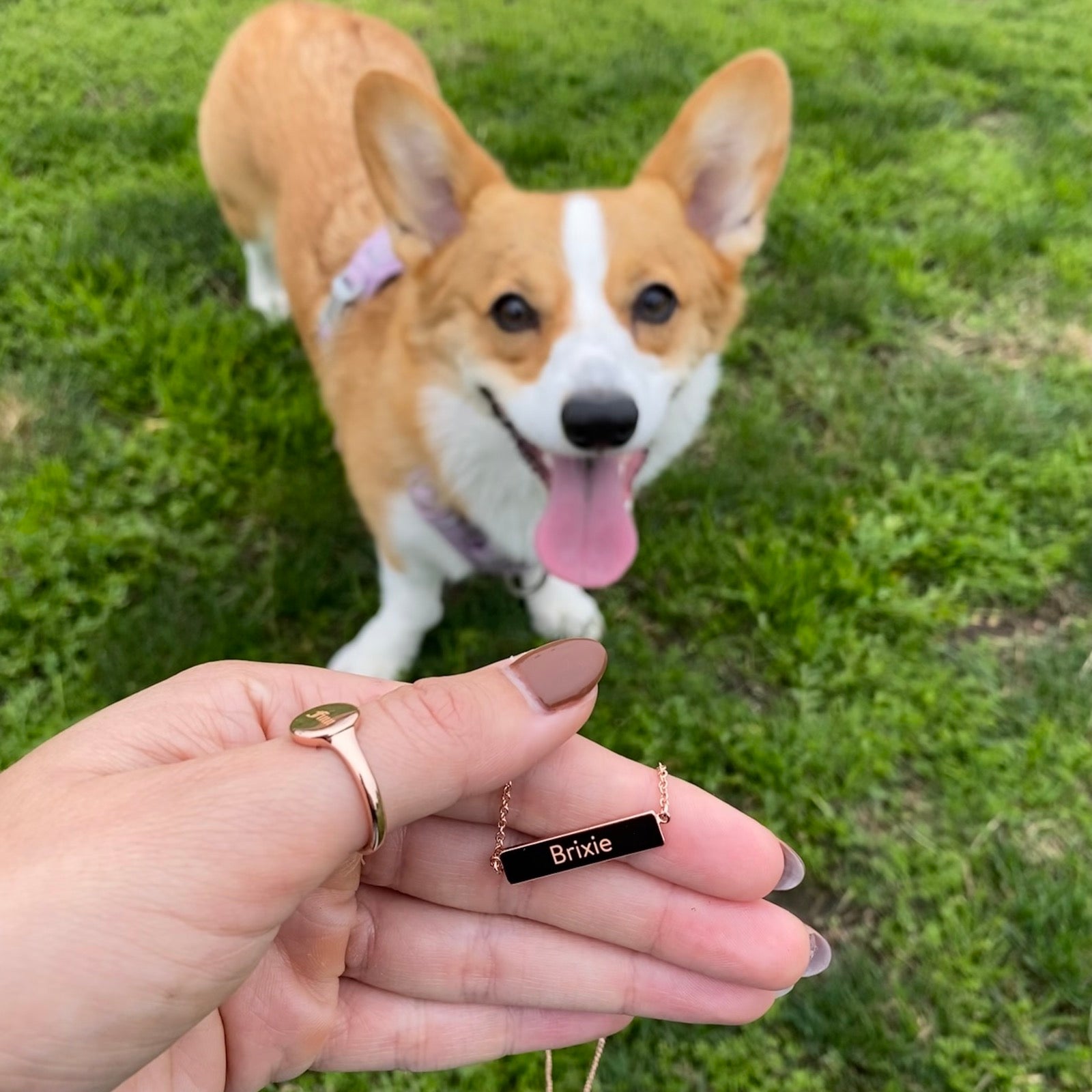 Corgi ring outlet